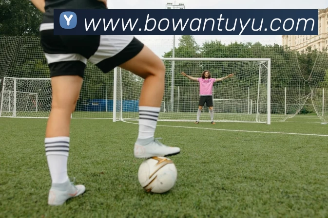 App Interface Preview